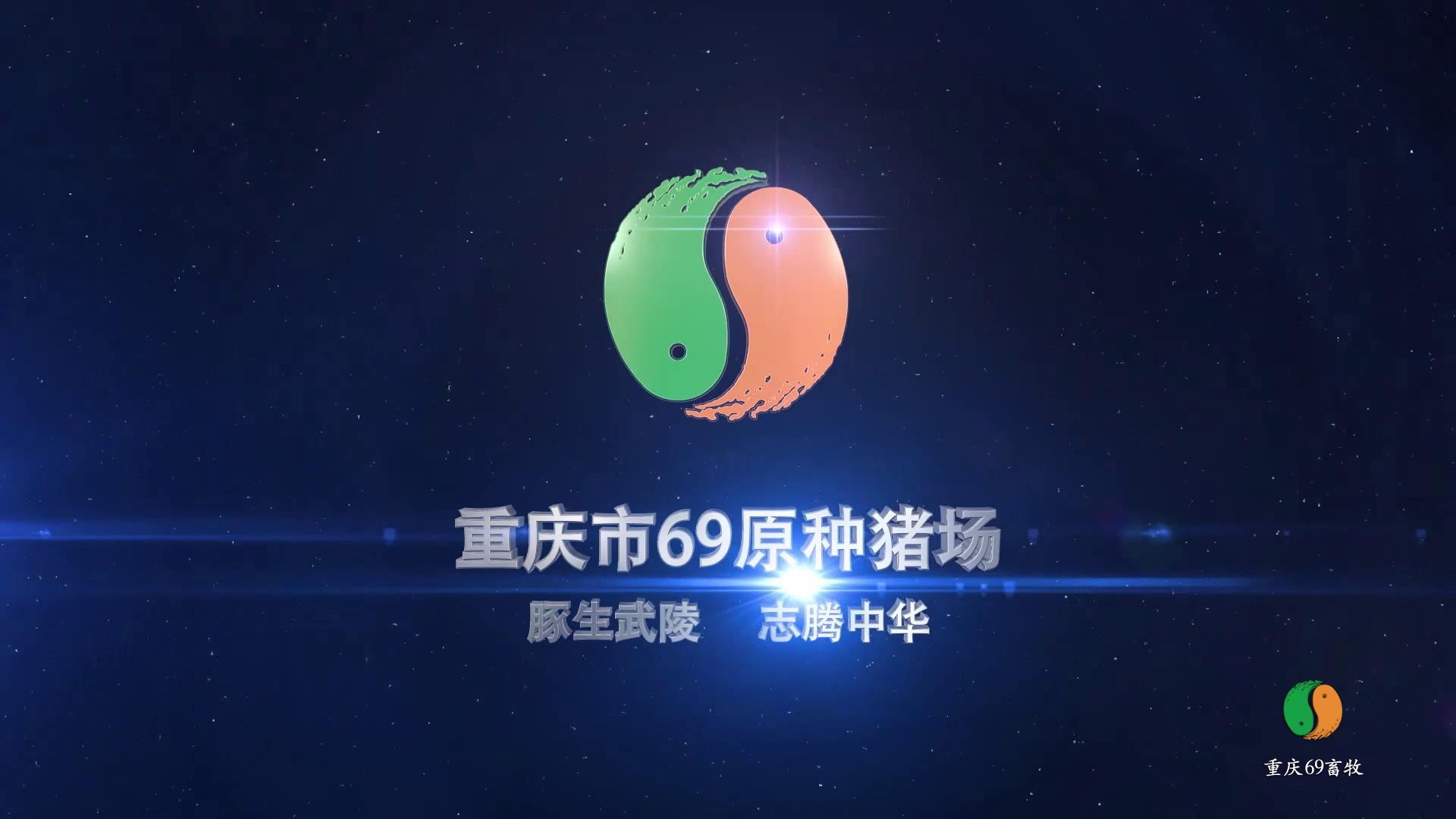 企業(yè)視頻 企業(yè)視頻